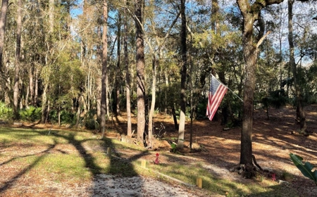 Suwannee Riverfront Property w/ Power, Well & Septic - image 43