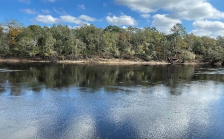 Suwannee Riverfront Property w/ Power, Well & Septic - image 5
