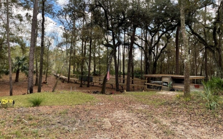 Suwannee Riverfront Property w/ Power, Well & Septic - image 18