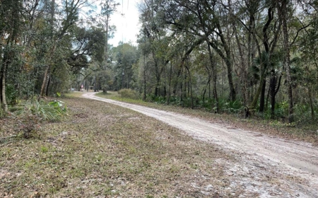 Suwannee Riverfront Property w/ Power, Well & Septic - image 30