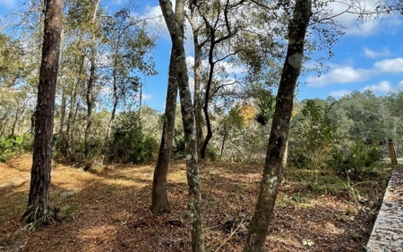 Suwannee Riverfront Property w/ Power, Well & Septic - image 7
