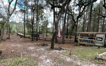 Suwannee Riverfront Property w/ Power, Well & Septic - image 17