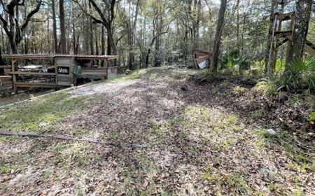 Suwannee Riverfront Property w/ Power, Well & Septic - image 3
