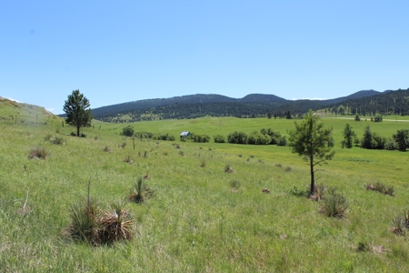 Sturgis Sd Commercial / Development Land For Sale - image 9