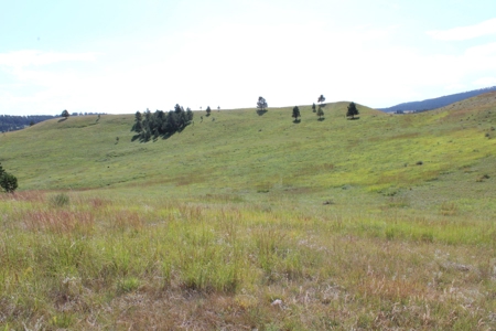 Sturgis Sd Commercial / Development Land For Sale - image 5