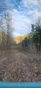 Lakefront land for sale in Monticello Ky - image 9