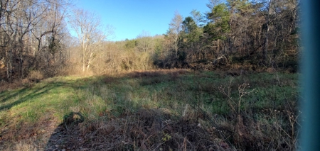Lakefront land for sale in Monticello Ky - image 1