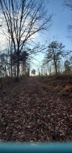 Lakefront land for sale in Monticello Ky - image 8
