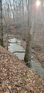Lakefront land for sale in Monticello Ky - image 15