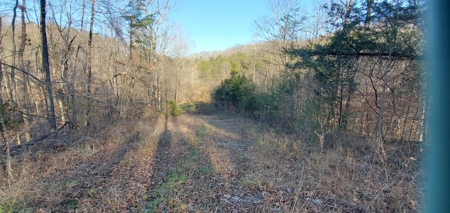 Lakefront land for sale in Monticello Ky - image 6