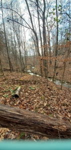 Lakefront land for sale in Monticello Ky - image 12