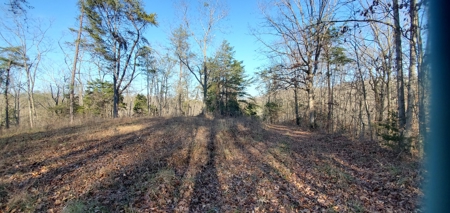 Lakefront land for sale in Monticello Ky - image 5