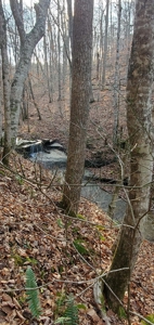 Lakefront land for sale in Monticello Ky - image 13