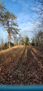 Lakefront land for sale in Monticello Ky - image 7