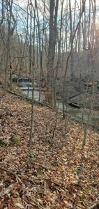 Lakefront land for sale in Monticello Ky - image 14