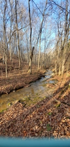 Lakefront land for sale in Monticello Ky - image 11