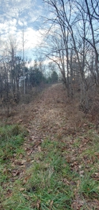 Lakefront land for sale in Monticello Ky - image 10