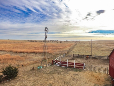 Online Only Auction Cattle & CRP Farm Hodgeman County KS - image 17