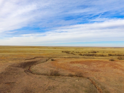 Online Only Auction Cattle & CRP Farm Hodgeman County KS - image 18