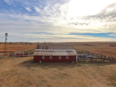 Online Only Auction Cattle & CRP Farm Hodgeman County KS - image 1