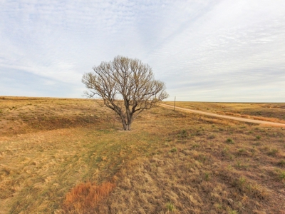 Online Only Auction Cattle & CRP Farm Hodgeman County KS - image 22