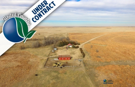 Online Only Auction Cattle & CRP Farm Hodgeman County KS - image 27