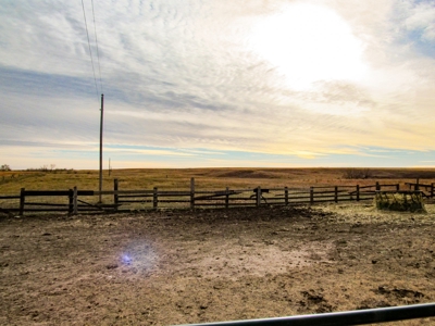 Online Only Auction Cattle & CRP Farm Hodgeman County KS - image 6