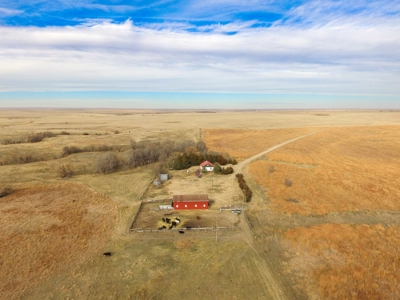 Online Only Auction Cattle & CRP Farm Hodgeman County KS - image 2