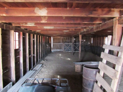 Online Only Auction Cattle & CRP Farm Hodgeman County KS - image 7
