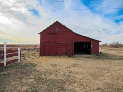 Online Only Auction Cattle & CRP Farm Hodgeman County KS - image 5