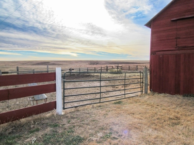 Online Only Auction Cattle & CRP Farm Hodgeman County KS - image 4