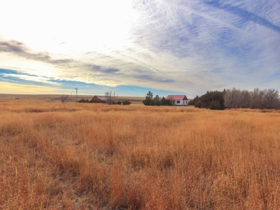 Online Only Auction Cattle & CRP Farm Hodgeman County KS - image 19