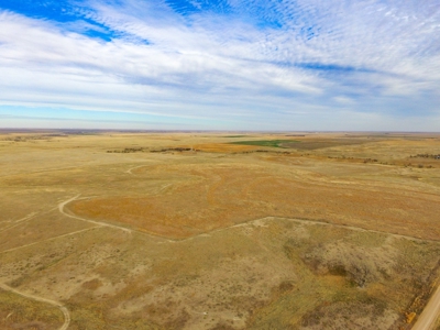 Online Only Auction Cattle & CRP Farm Hodgeman County KS - image 20