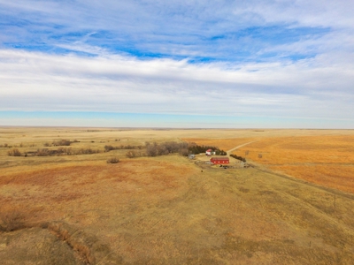 Online Only Auction Cattle & CRP Farm Hodgeman County KS - image 3