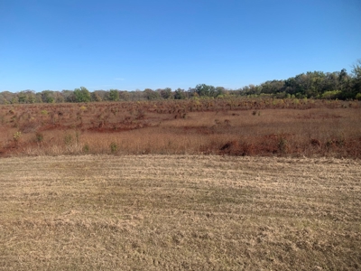 Horn Lake WRP Hunting Land for Sale in Prairie Co., Arkansas - image 44