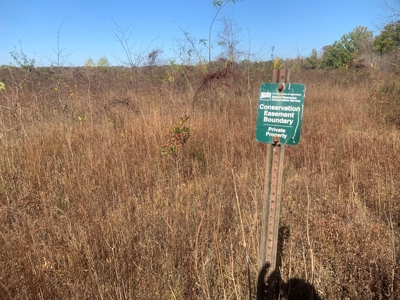Horn Lake WRP Hunting Land for Sale in Prairie Co., Arkansas - image 23