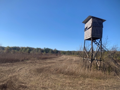 Horn Lake WRP Hunting Land for Sale in Prairie Co., Arkansas - image 26