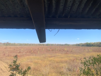 Horn Lake WRP Hunting Land for Sale in Prairie Co., Arkansas - image 33