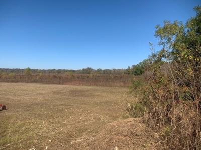 Horn Lake WRP Hunting Land for Sale in Prairie Co., Arkansas - image 20