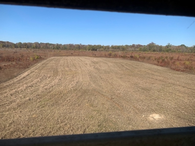 Horn Lake WRP Hunting Land for Sale in Prairie Co., Arkansas - image 42