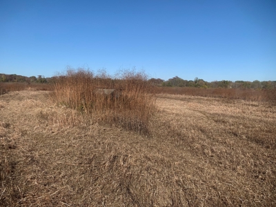 Horn Lake WRP Hunting Land for Sale in Prairie Co., Arkansas - image 47
