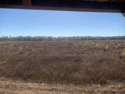 Horn Lake WRP Hunting Land for Sale in Prairie Co., Arkansas - image 29