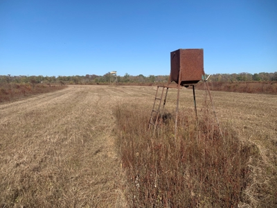 Horn Lake WRP Hunting Land for Sale in Prairie Co., Arkansas - image 45
