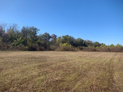 Horn Lake WRP Hunting Land for Sale in Prairie Co., Arkansas - image 25