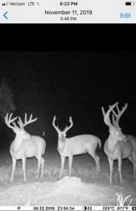 Horn Lake WRP Hunting Land for Sale in Prairie Co., Arkansas - image 2
