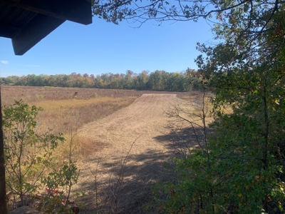 Horn Lake WRP Hunting Land for Sale in Prairie Co., Arkansas - image 32