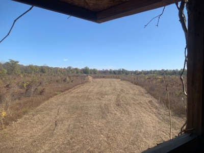 Horn Lake WRP Hunting Land for Sale in Prairie Co., Arkansas - image 28