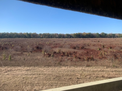 Horn Lake WRP Hunting Land for Sale in Prairie Co., Arkansas - image 43