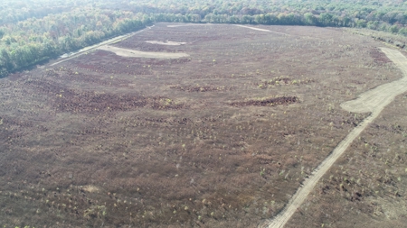 Horn Lake WRP Hunting Land for Sale in Prairie Co., Arkansas - image 16