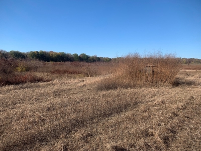 Horn Lake WRP Hunting Land for Sale in Prairie Co., Arkansas - image 46